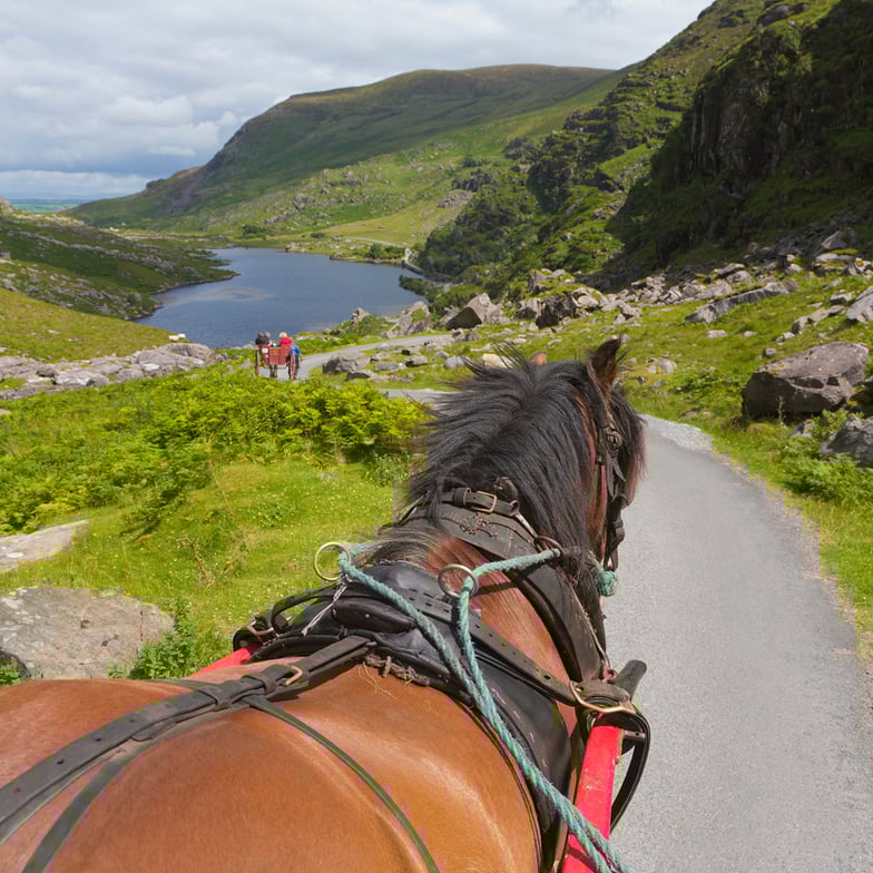 CLIP CLOP IN KILLARNEY