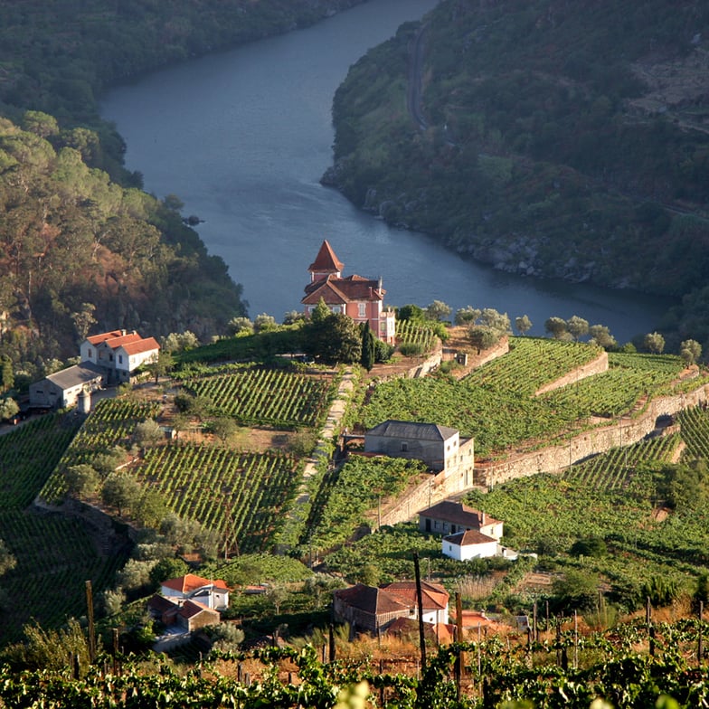 PORTUGUESE WINE