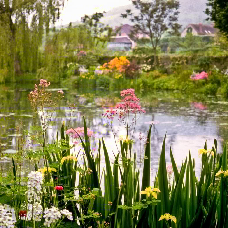 MONET’S MUSES